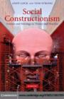 Social Constructionism : Sources and Stirrings in Theory and Practice - eBook