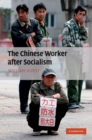 Chinese Worker after Socialism - eBook