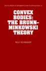 Convex Bodies : The Brunn-Minkowski Theory - eBook