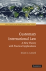 Customary International Law : A New Theory with Practical Applications - eBook
