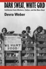 Dark Sweat, White Gold : California Farm Workers, Cotton, and the New Deal - Book