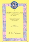 A Mediterranean Society, Volume II : The Jewish Communities of the Arab World as Portrayed in the Documents of the Cairo Geniza, The Community - Book