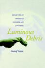 Luminous Debris : Reflecting on Vestige in Provence and Languedoc - Book
