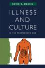 Illness and Culture in the Postmodern Age - Book