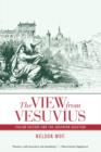 The View from Vesuvius : Italian Culture and the Southern Question - Book