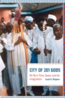 City of 201 Gods : Ile-Ife in Time, Space, and the Imagination - Book