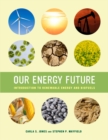 Our Energy Future : Introduction to Renewable Energy and Biofuels - Book