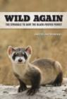 Wild Again : The Struggle to Save the Black-Footed Ferret - Book