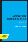 Austria from Habsburg to Hitler, Volume 1 : Labor's Workshop of Democracy - Book