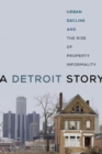 A Detroit Story : Urban Decline and the Rise of Property Informality - Book
