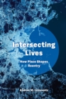 Intersecting Lives : How Place Shapes Reentry - Book