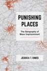 Punishing Places : The Geography of Mass Imprisonment - Book