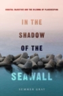 In the Shadow of the Seawall : Coastal Injustice and the Dilemma of Placekeeping - Book