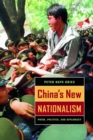 China's New Nationalism : Pride, Politics, and Diplomacy - eBook