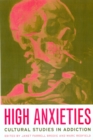 High Anxieties : Cultural Studies in Addiction - eBook
