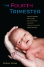 The Fourth Trimester : Understanding, Protecting, and Nurturing an Infant through the First Three Months - eBook