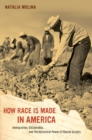 How Race Is Made in America : Immigration, Citizenship, and the Historical Power of Racial Scripts - eBook