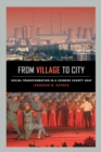 From Village to City : Social Transformation in a Chinese County Seat - eBook
