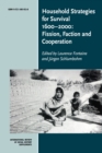 Household Strategies for Survival 1600-2000 : Fission, Faction and Cooperation - Book