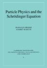 Particle Physics and the Schrodinger Equation - Book