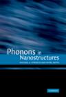 Phonons in Nanostructures - Book