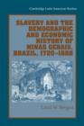 Slavery and the Demographic and Economic History of Minas Gerais, Brazil, 1720-1888 - Book