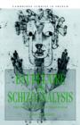 Baudelaire and Schizoanalysis : The Socio-Poetics of Modernism - Book