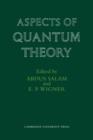 Aspects of Quantum Theory - Book