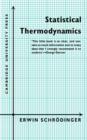 Statistical Thermodynamics : A Course of Seminar Lectures - Book