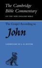 The Gospel according to John - Book