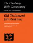 Old Testament Illustrations - Book