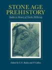 Stone Age Prehistory : Studies in Memory of Charles McBurney - Book