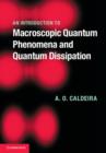 An Introduction to Macroscopic Quantum Phenomena and Quantum Dissipation - Book