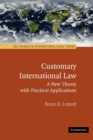 Customary International Law : A New Theory with Practical Applications - Book
