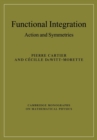 Functional Integration : Action and Symmetries - Book