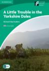 A Little Trouble in the Yorkshire Dales Level 3 Lower-intermediate American English - Book