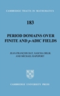 Period Domains over Finite and p-adic Fields - Book