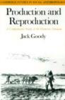 Production and Reproduction : A Comparative Study of the Domestic Domain - Book