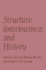 Structure, Consciousness, and History - Book
