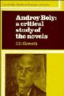 Audrey Bely : A Critical Study of the Novels - Book