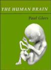 The Human Brain - Book