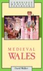 Medieval Wales - Book