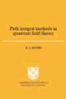 Path Integral Methods in Quantum Field Theory - Book