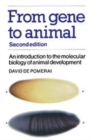 From Gene to Animal : An Introduction to the Molecular Biology of Animal Development - Book