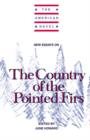 New Essays on The Country of the Pointed Firs - Book