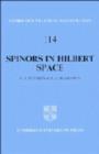 Spinors in Hilbert Space - Book