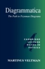 Diagrammatica : The Path to Feynman Diagrams - Book