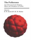The Fullerenes : New Horizons for the Chemistry, Physics and Astrophysics of Carbon - Book