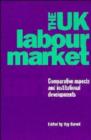 The UK Labour Market : Comparative Aspects and Institutional Developments - Book