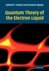Quantum Theory of the Electron Liquid - Book